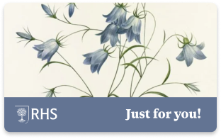 Just for you gift card